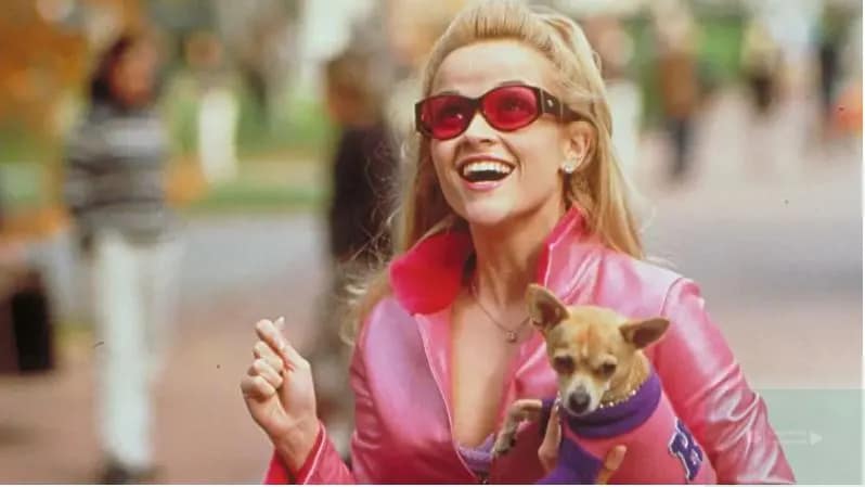 Legally Blonde on Amazon Prime Video